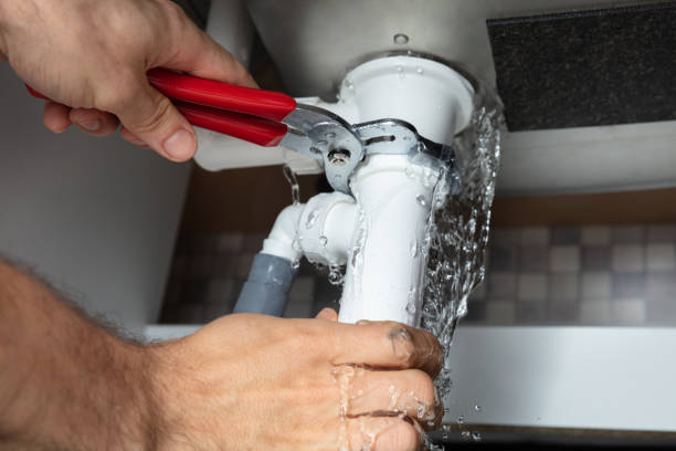 Best Mold removal after water damage  in Coldstream, KY
