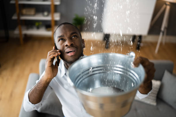 Best Flooded house restoration  in Coldstream, KY