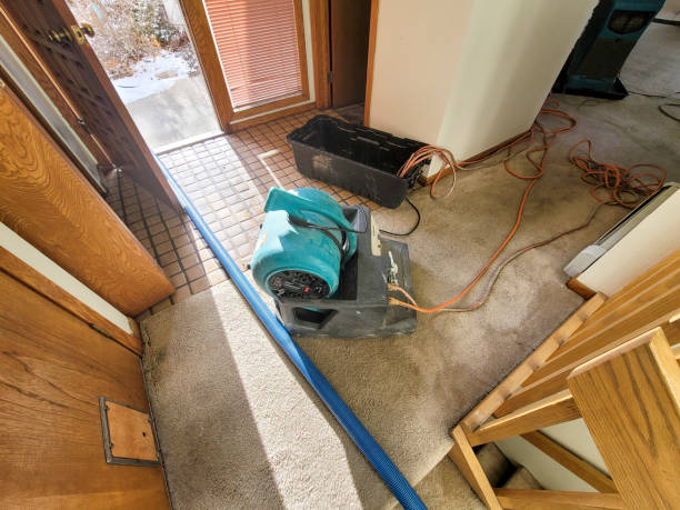 Best Local water damage restoration  in Coldstream, KY