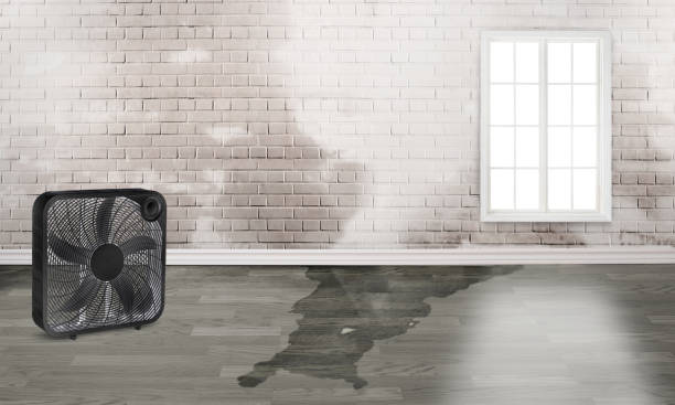 Water damage restoration insurance claims in Coldstream, KY