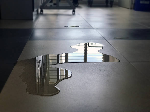 Best Water damage repair service  in Coldstream, KY