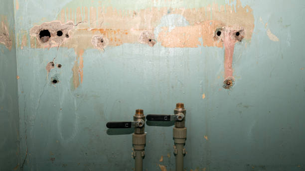Best Flood damage cleanup  in Coldstream, KY