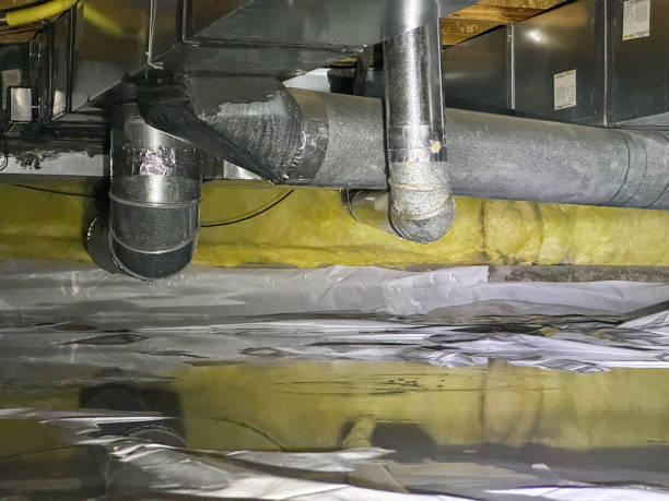 Best Water damage cleanup near me  in Coldstream, KY