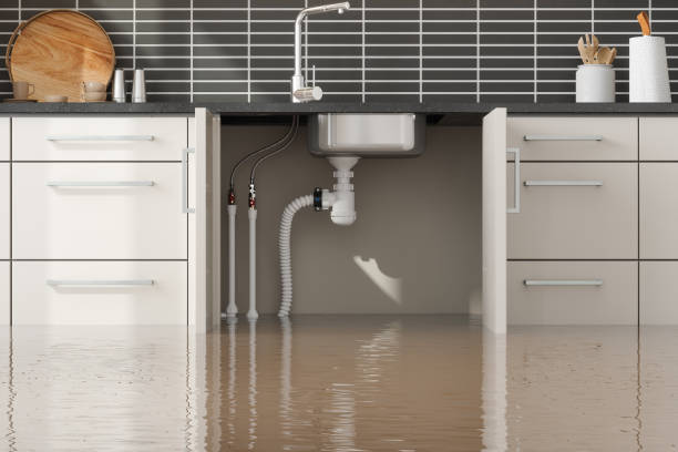 Best Residential water damage restoration  in Coldstream, KY