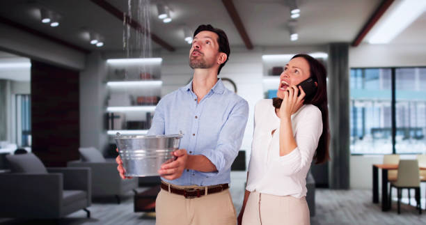 Best Basement water damage restoration  in Coldstream, KY