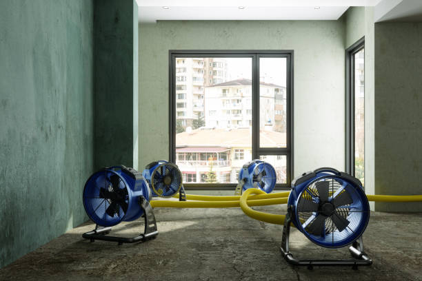 Best Water damage contractors near me  in Coldstream, KY