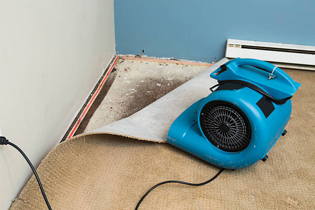  Coldstream, KY Water damage restoration Pros